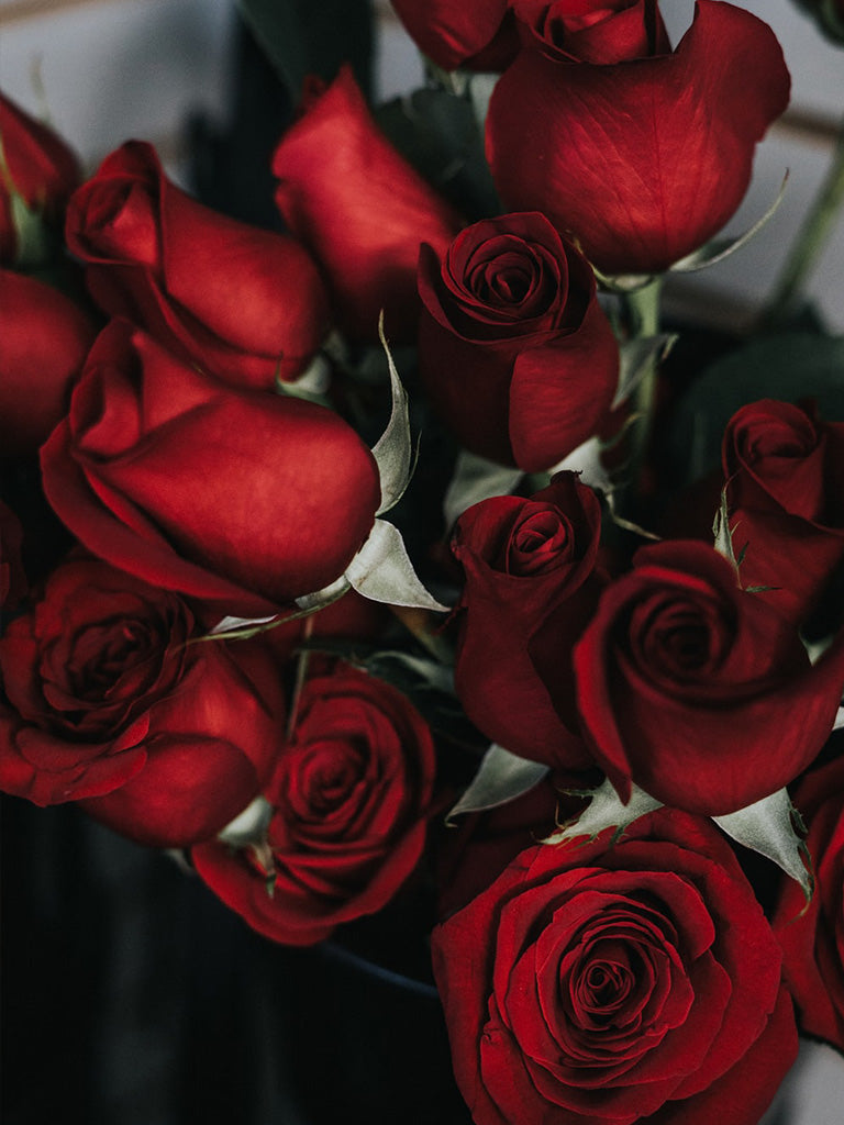 Bouquet of Red Roses